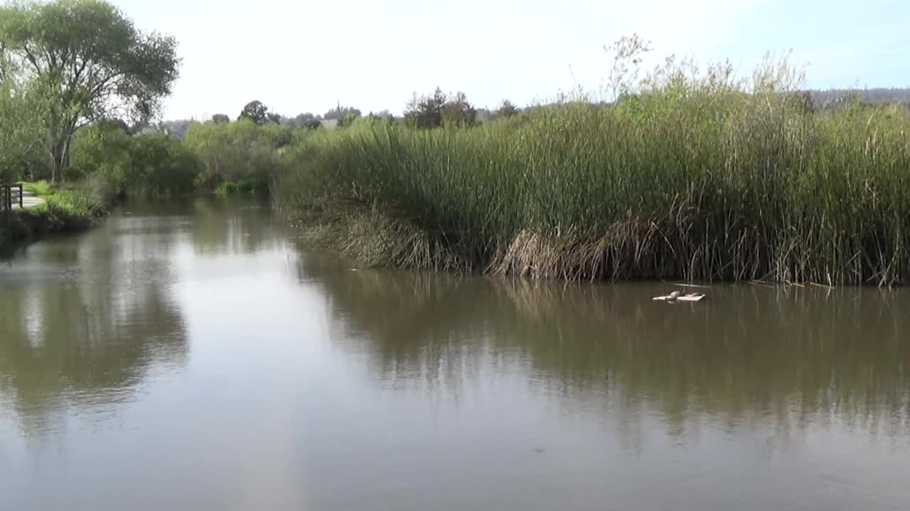 Santa Cruz, CA — Neary Lagoon Park #2