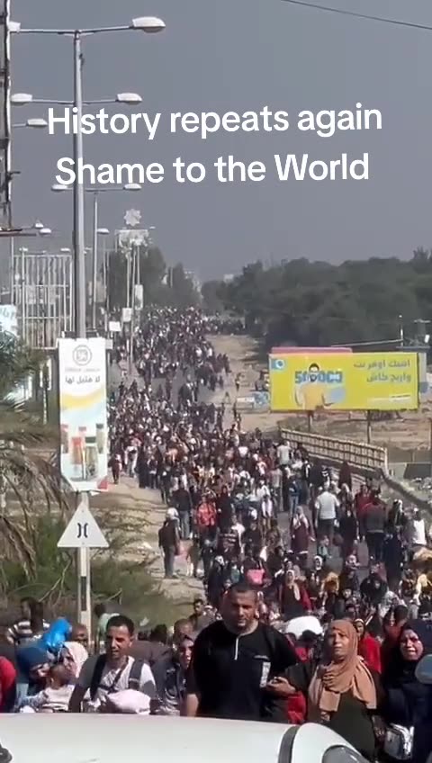 PALESTINIAN FORCED EXODUS TO THE SOUTH OF GAZA