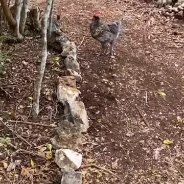 Building Arches!!!😜😱🏹💯