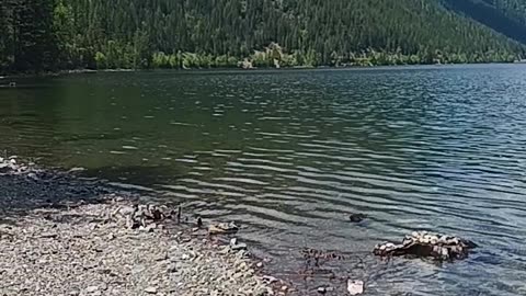 Peaceful