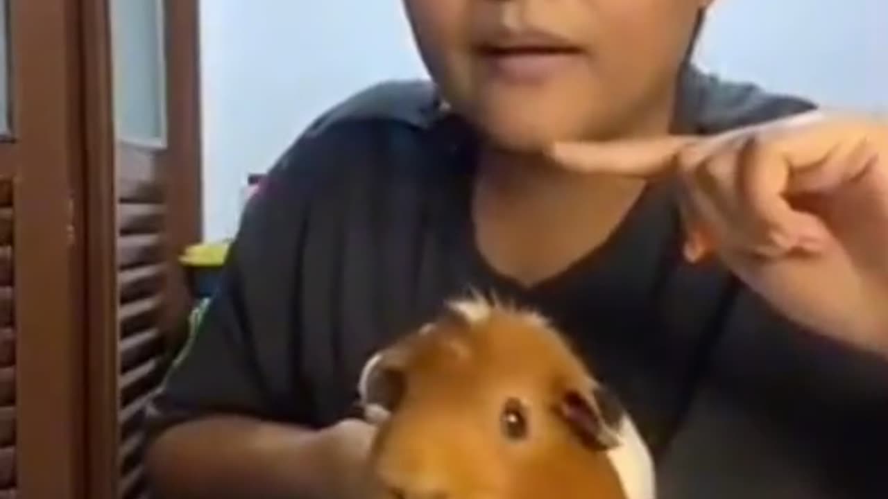 Little fella like ”wtf was that” ?