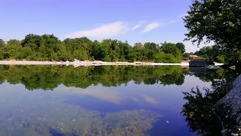 Water River Lake Nature Panorama Plant Animals