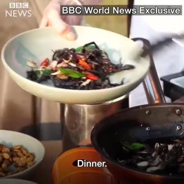 Angelina Jolie Eats Spiders & Insects with Her Kids