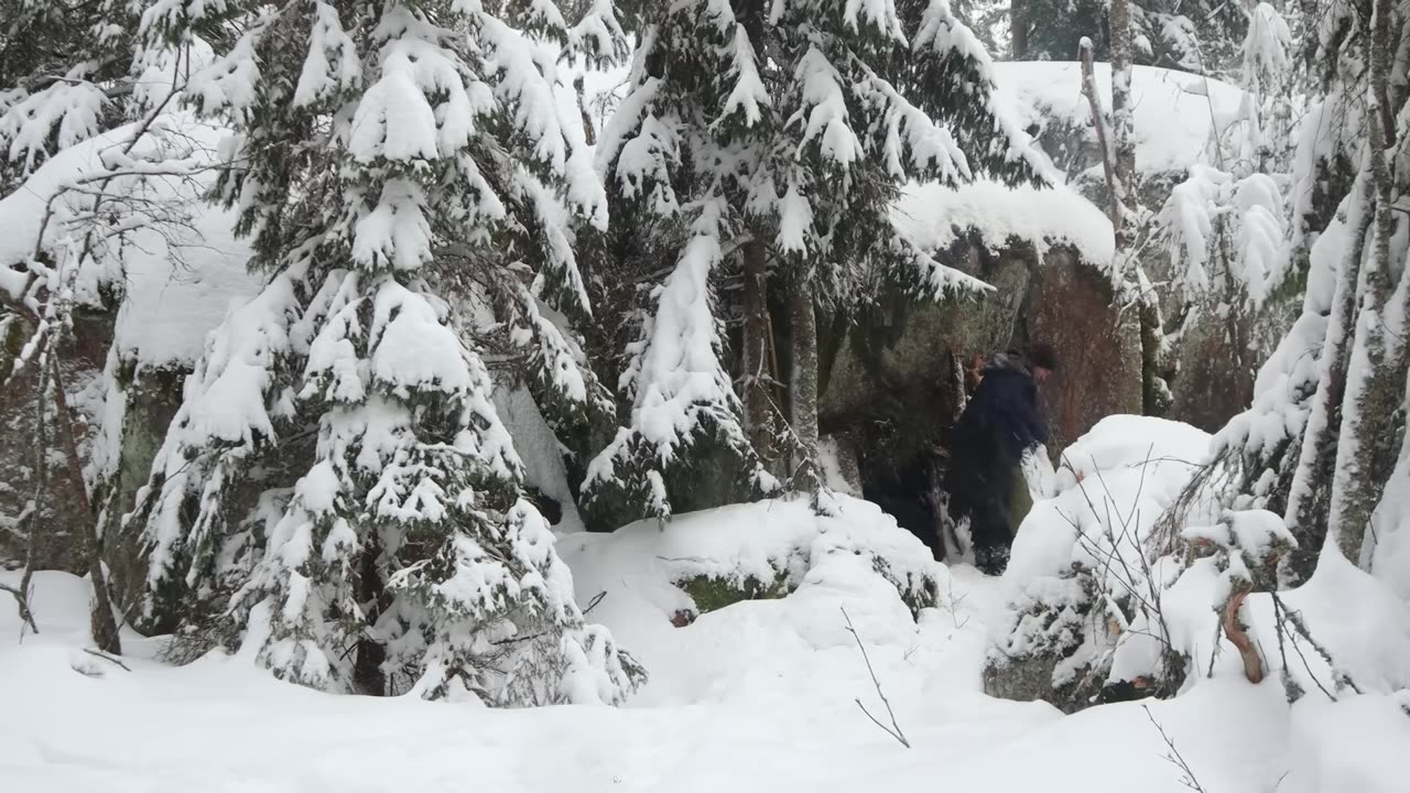 Welcome to my Warm Shelter! 3 DAYS CAMPING in a Winter Cave [1 Hour]