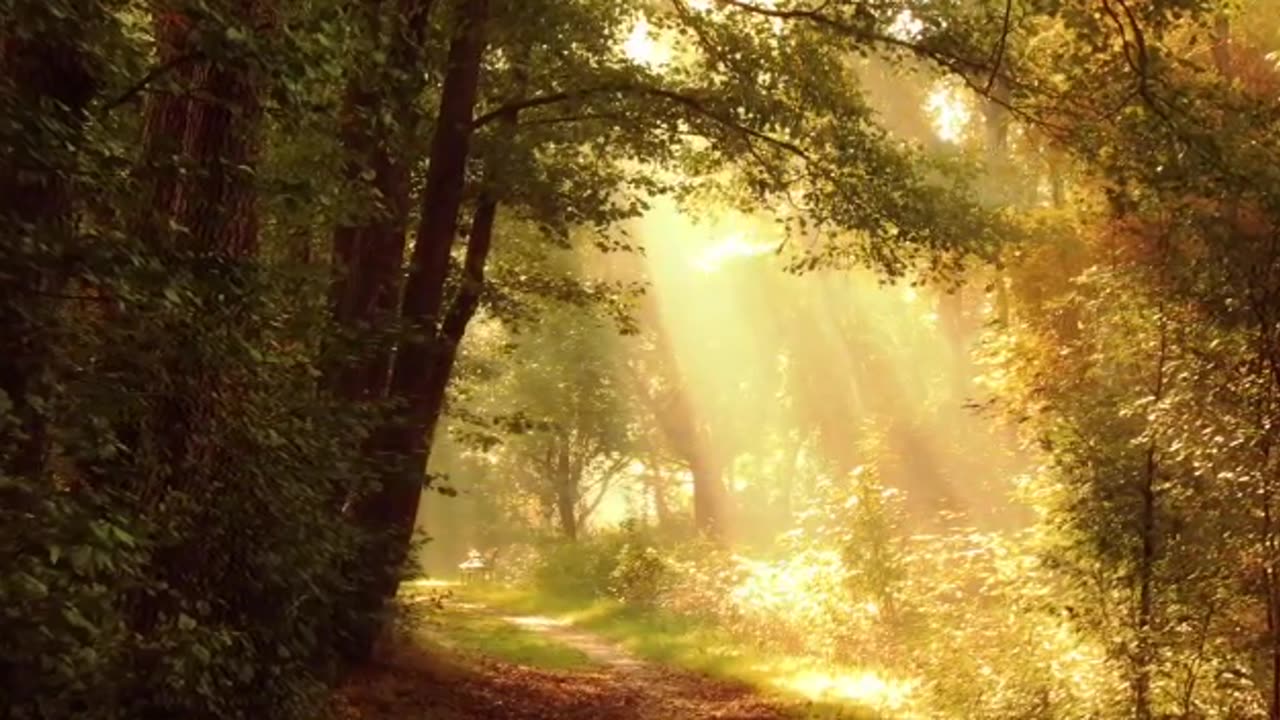 Beautiful Nature Video and Music | HD Video | Music to Sleep with Sound and Nature