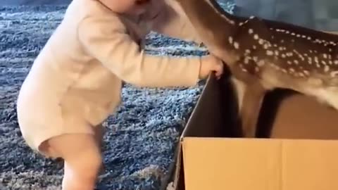 Cute deer cute baby 😍