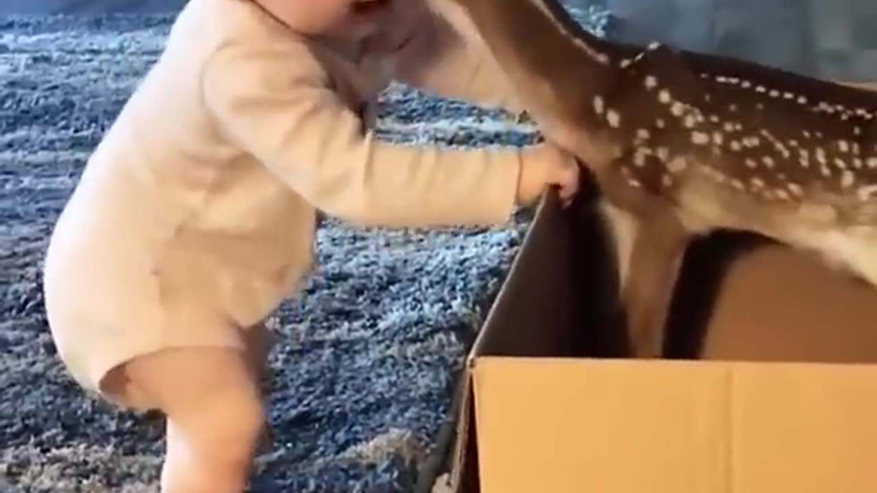 Cute deer cute baby 😍