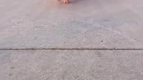 Cute