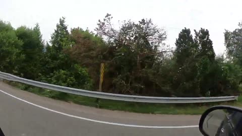 pro mo