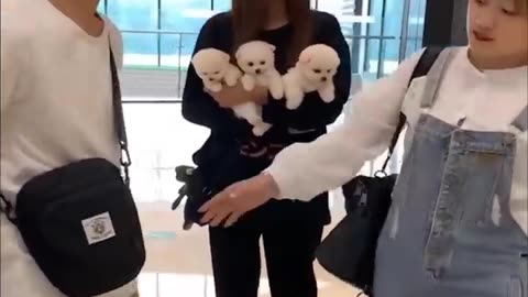 Best Funny Videos - Try to Not Laugh 😆😂🤣