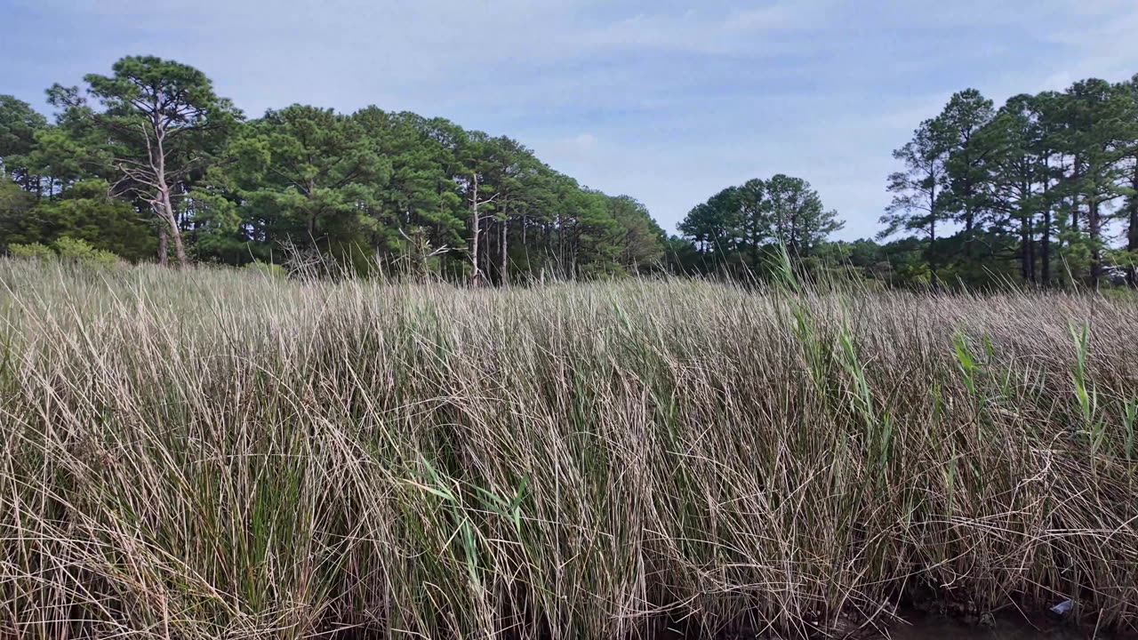 KaraBand Point Lookout Lighthouse MD July 2024