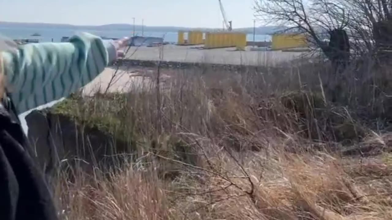 Rügen: Deutsches Regime stellt Flüssiggasterminal in Naturschutzgebiet!