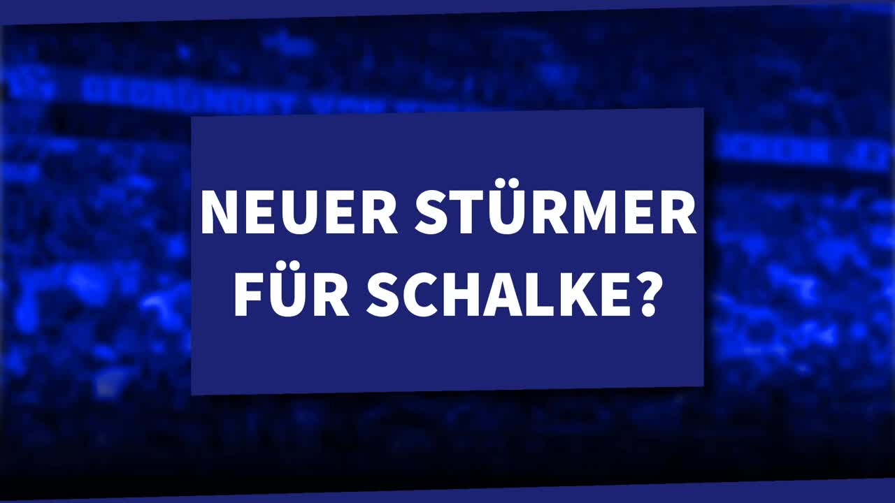 Neuer Stürmer für Schalke? Gerüchte um Haris Seferovic!