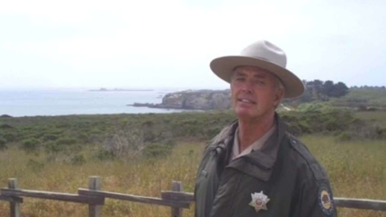 DOGMAN, MAINE PARK RANGER WITNESSED A DOGMAN VIOLENTLY ATTACK...