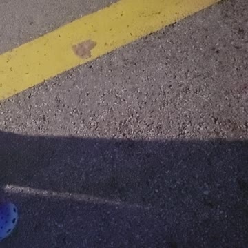 Columbus zoo train 2022