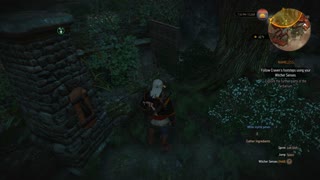 Witcher 3 - Nameless Lever Puzzle Explanation & Walkthrough