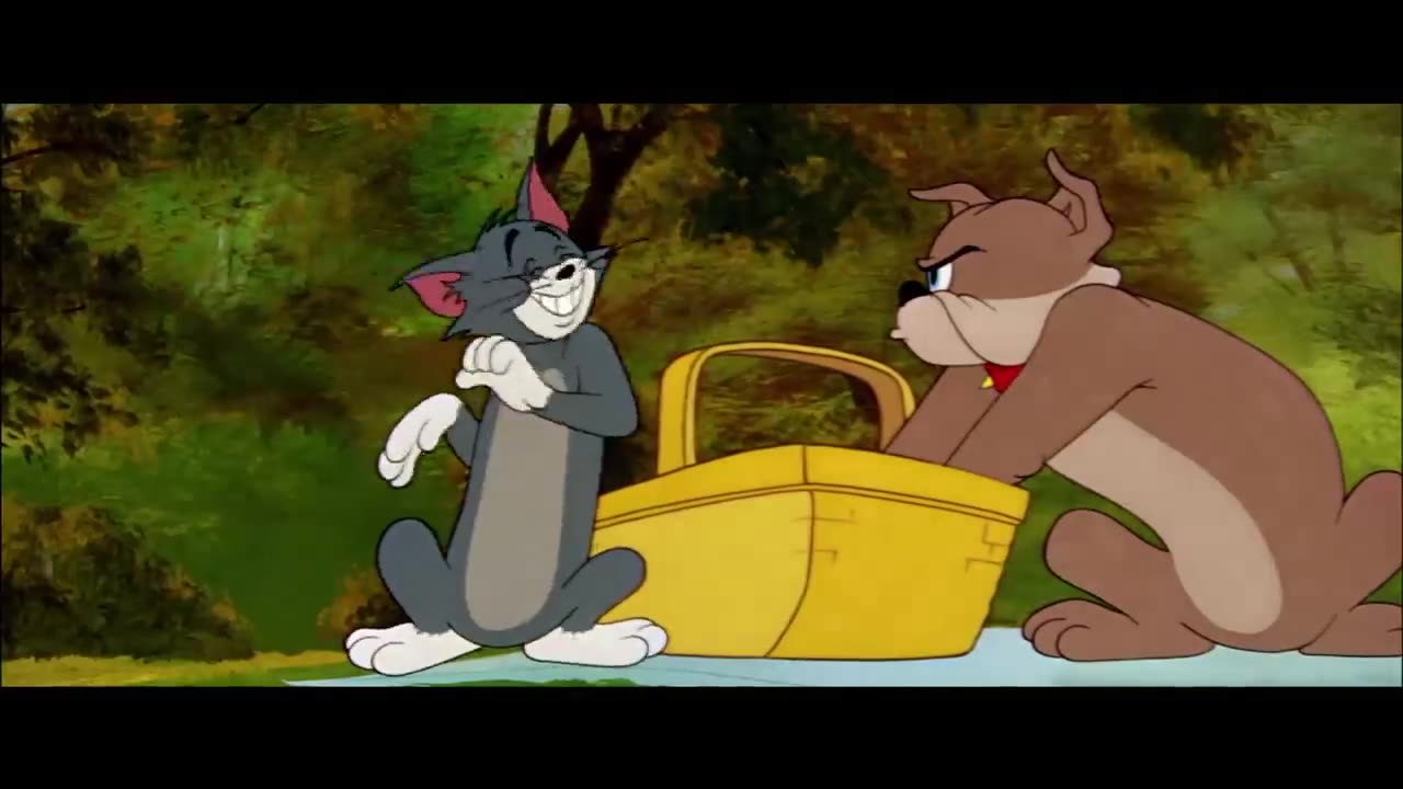 Cartoon Tom and Jerry funny cartoon