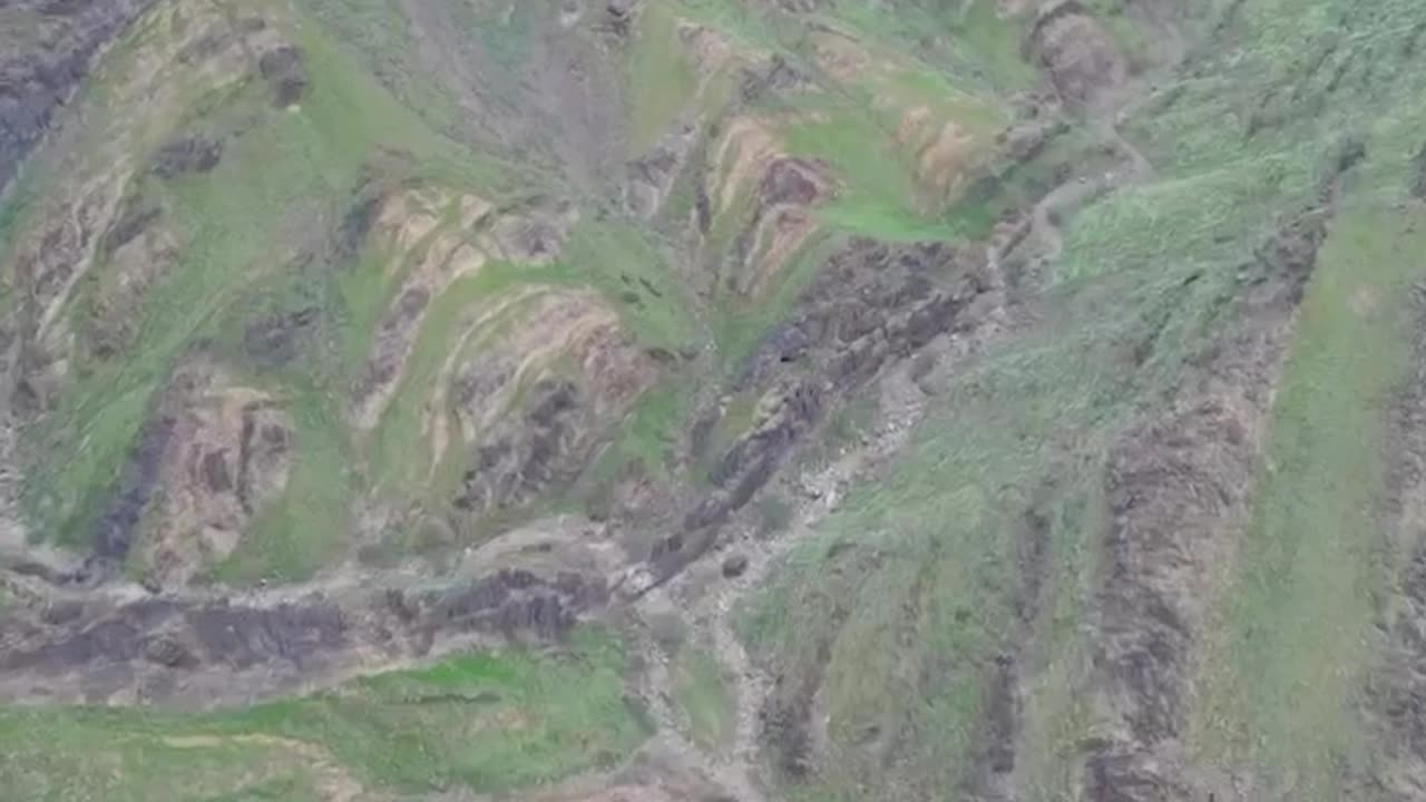 Some Parts Of Saudi Arabia Are Covered With Dense Vegetation