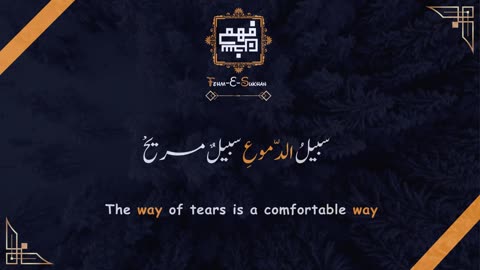 The Way Of Tears Islamic Nasheed - Fehme Sukhan