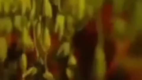 sajen ka gar jana ha