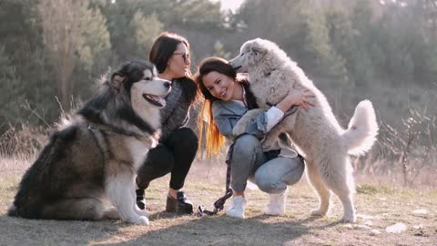 two women and tow dogs playing