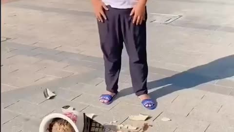 Watch funny video 😂😂😂