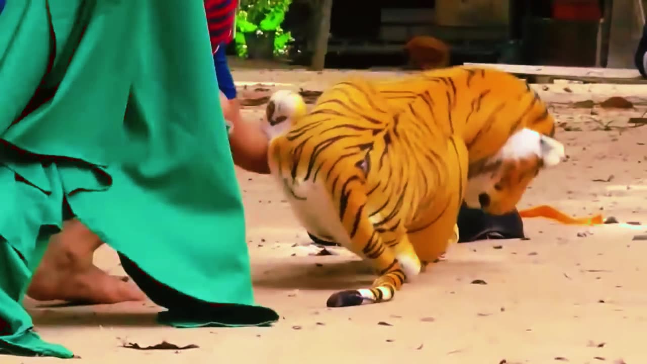 Monkey against tiger (funny)