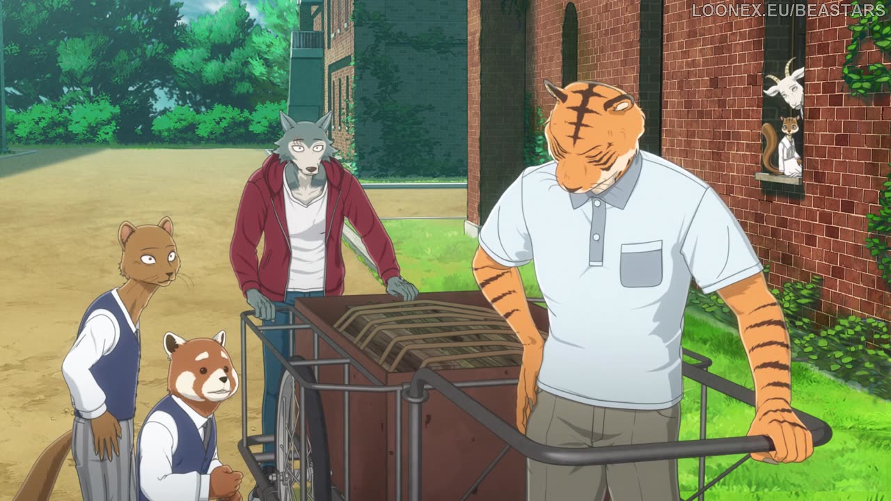 beastars 3x05