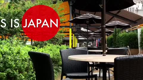 British Food Festival in Tokyo | Life in Japan