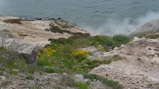 Hot steam coming up from the ground in Yellowstone. June 16th, 2023