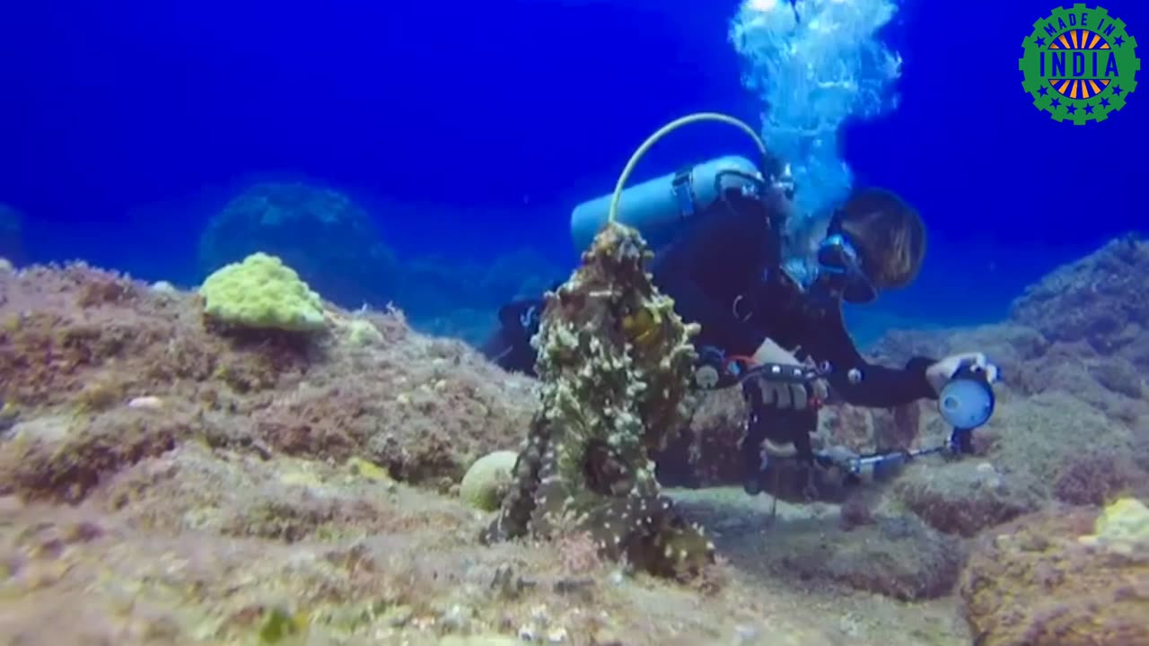 Nature video with relaxing music