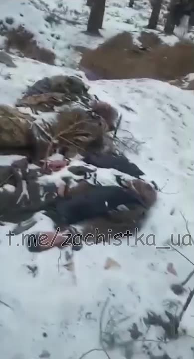 18+ Viewer Discretion Advised: Body count rising