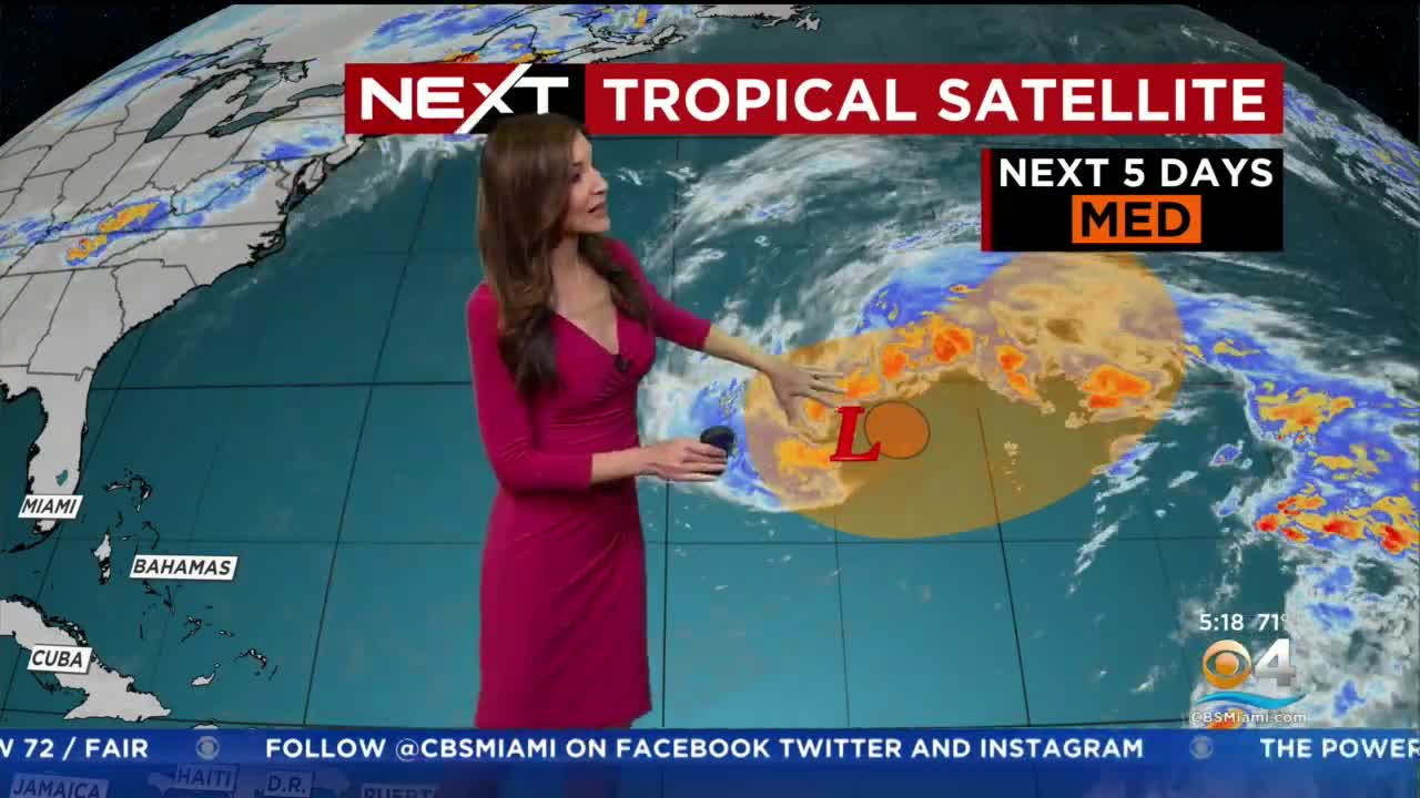 NEXT Weather - Miami + South Florida Forecast - Wednesday Morning 12_7_22