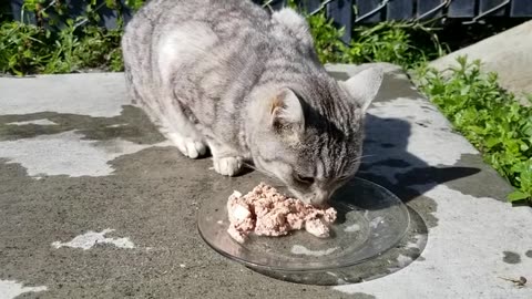 20240326 154649 Birthday Eating
