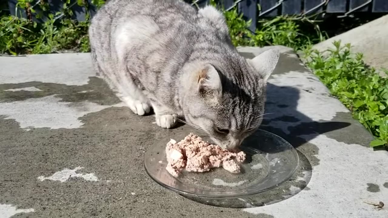 20240326 154649 Birthday Eating
