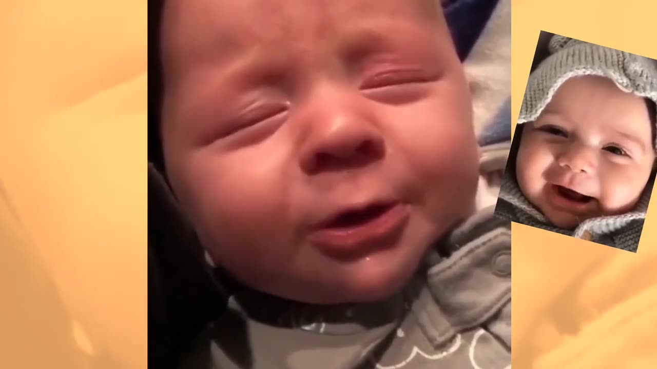 Funny baby videos