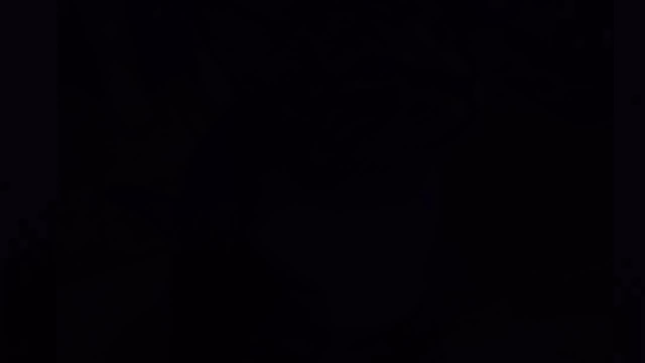 Cats funny clips