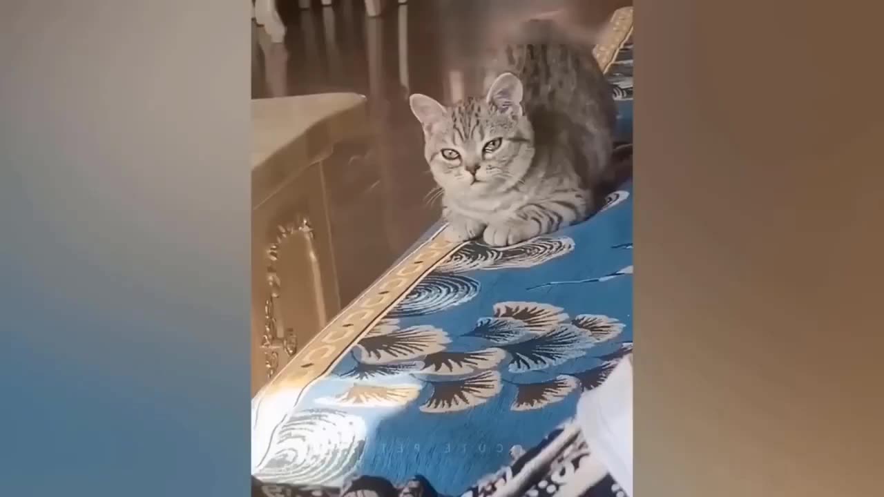 😅😅😅