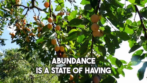 Abundance is a state of having more than enough of something.