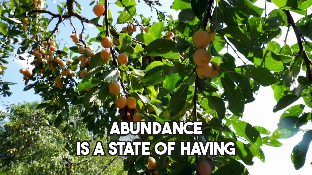 Abundance is a state of having more than enough of something.