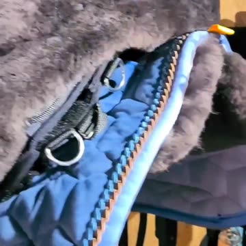 Saddle showroom Part 3