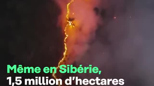 2021, au cœur d'un été catastrophe !