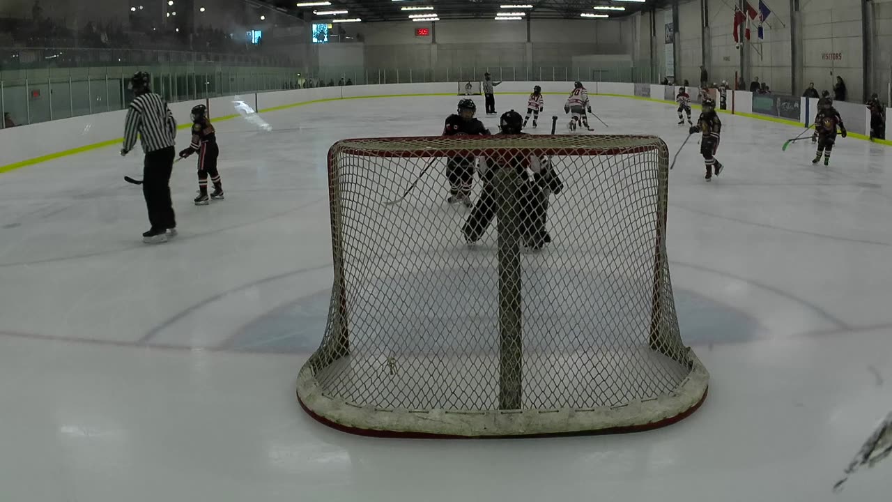 U11A Hornets @ Markham Stars
