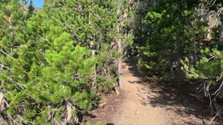 Central Oregon - Little Three Creek Lake - Exploring the Shoreline - 4K