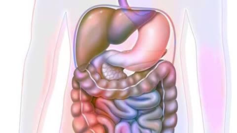 #human #organs #facts #interestingfacts