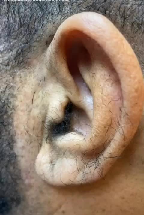 This is a food peopol