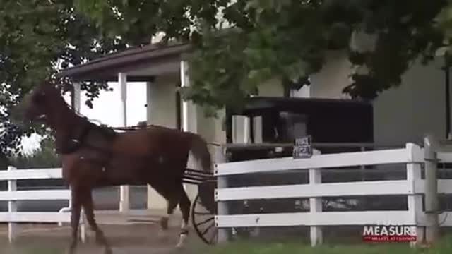 Amish COVID: Special report on how the Amish community from Lancaster, PA handled the pandemic