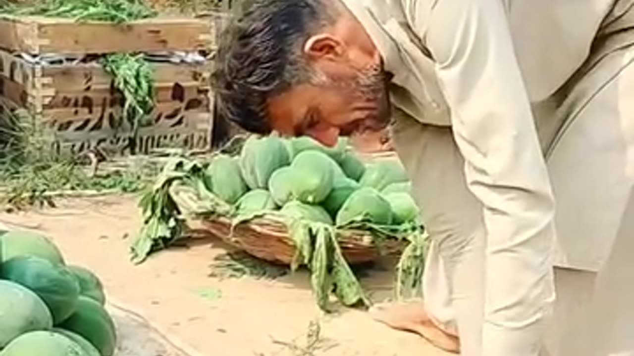 Papaya-Sindh-Karachi