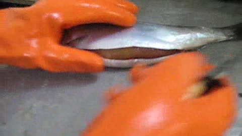 How to row a herring