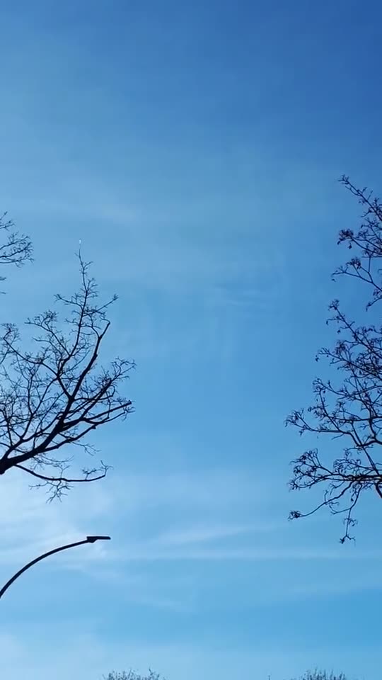 Himmel in Berlin am 16.03.2023 um 14:43 Uhr